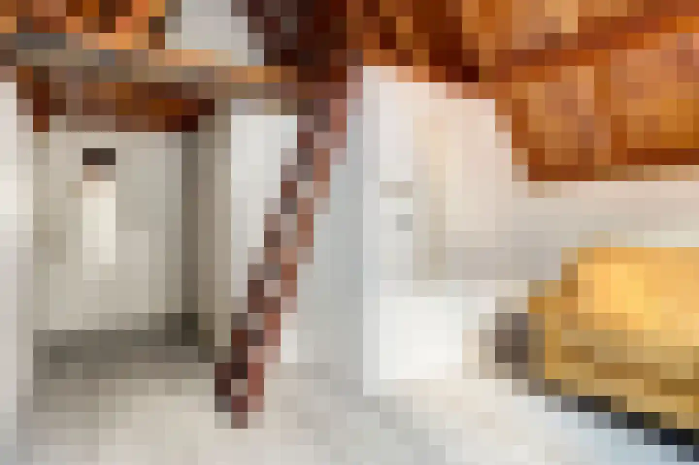 Predikherenstraat 8 Utrecht thumbnail 20
