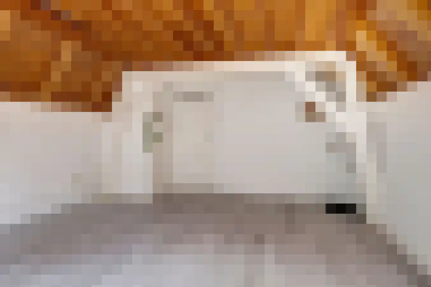 Predikherenstraat 8 Utrecht thumbnail 23