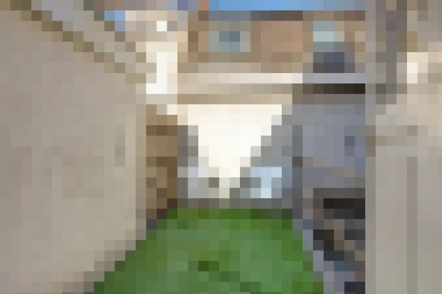 Predikherenstraat 8 Utrecht thumbnail 25