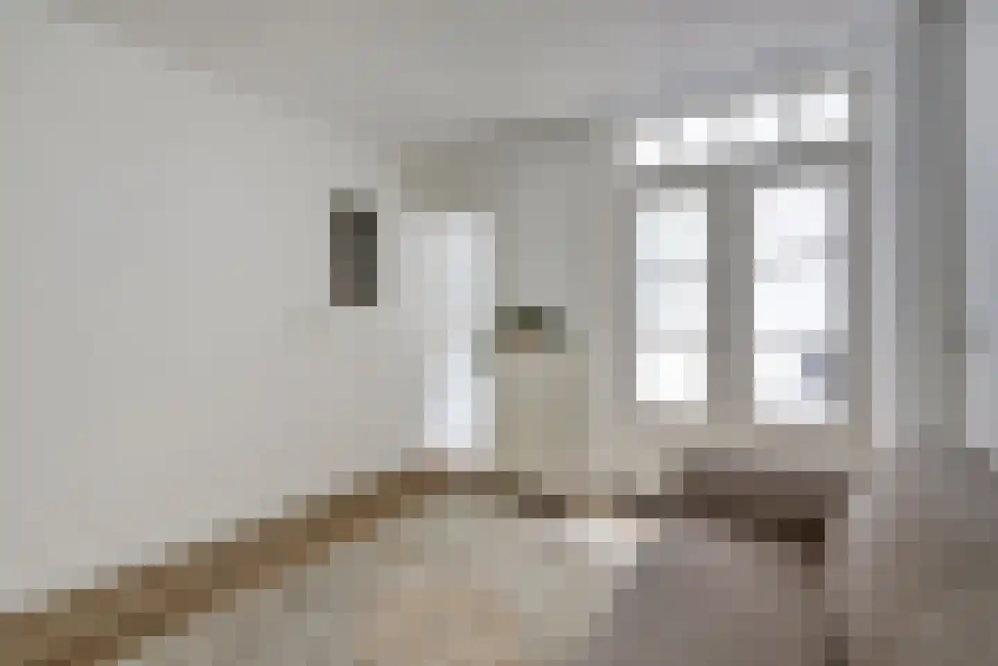 Predikherenstraat 8 Utrecht thumbnail 4