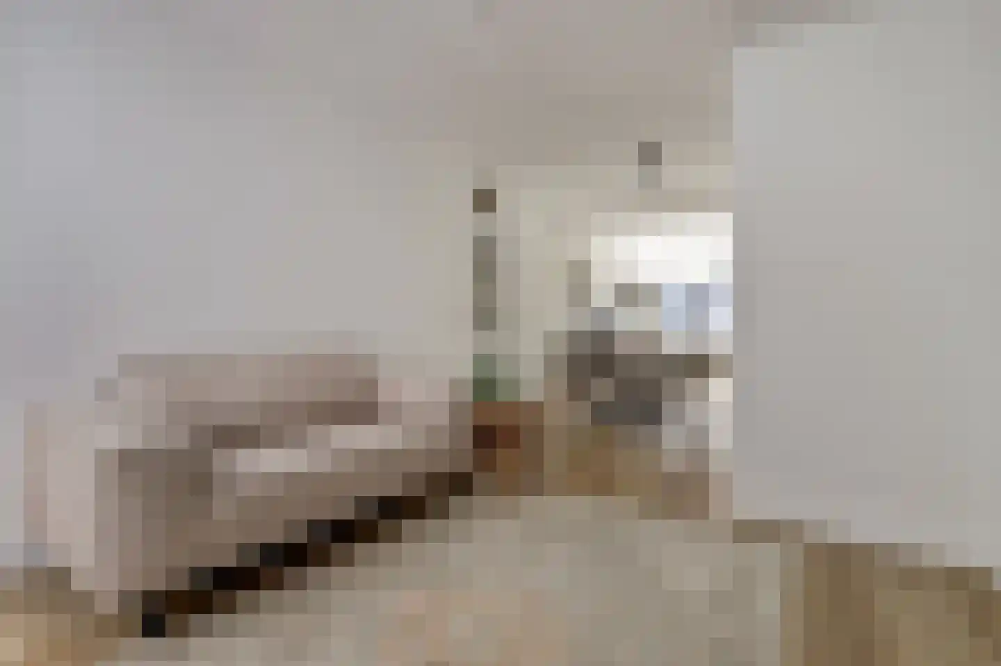 Predikherenstraat 8 Utrecht thumbnail 5