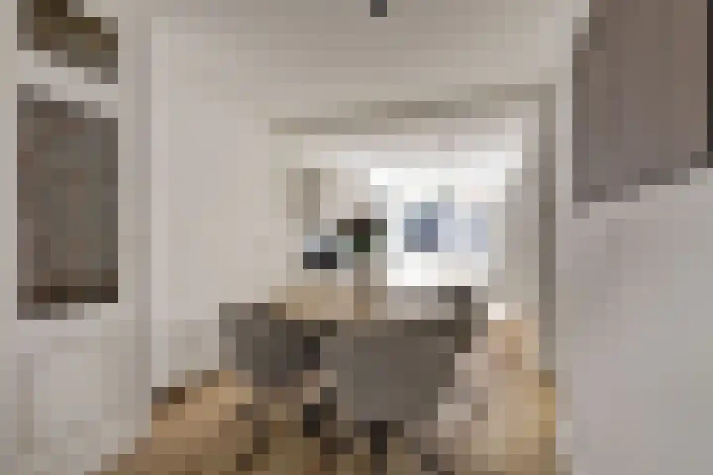 Predikherenstraat 8 Utrecht thumbnail 7