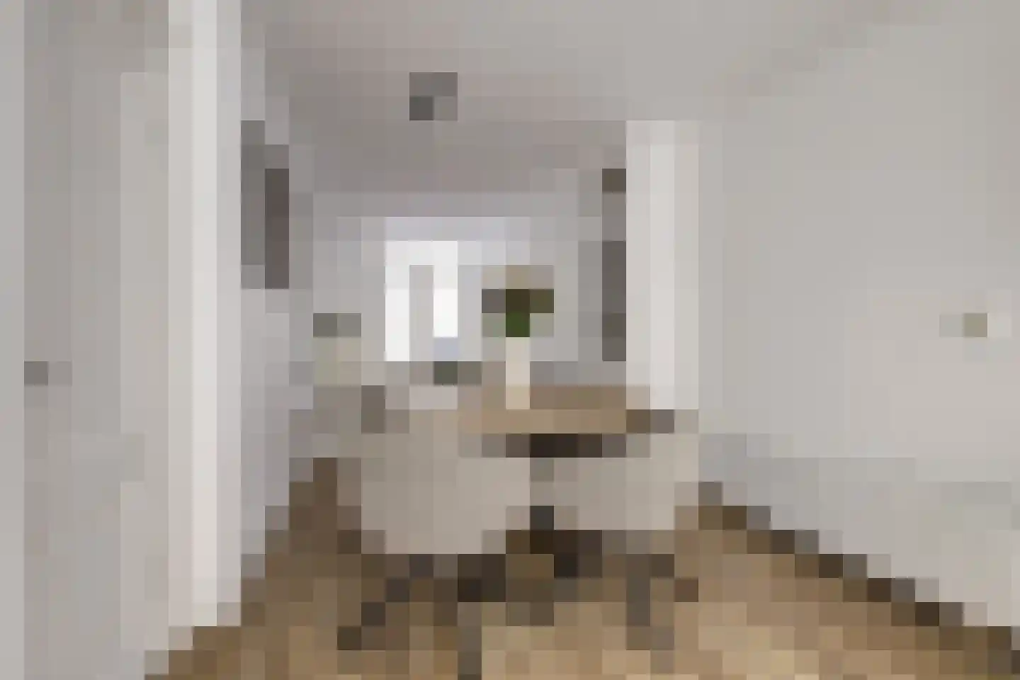 Predikherenstraat 8 Utrecht thumbnail 8
