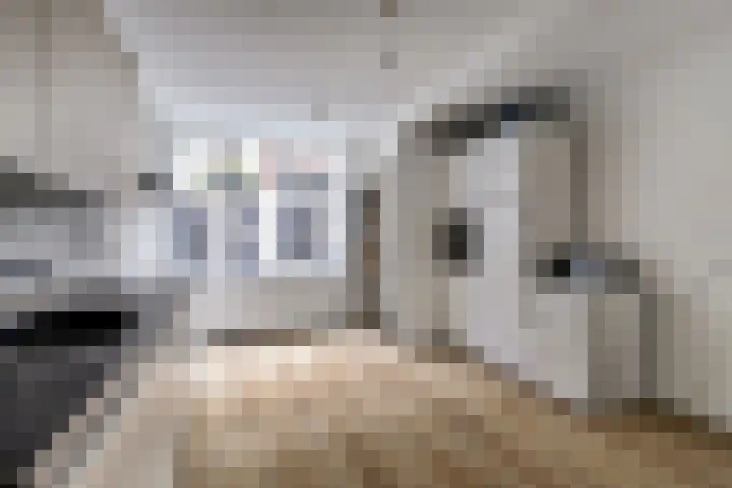 Predikherenstraat 8 Utrecht thumbnail 9
