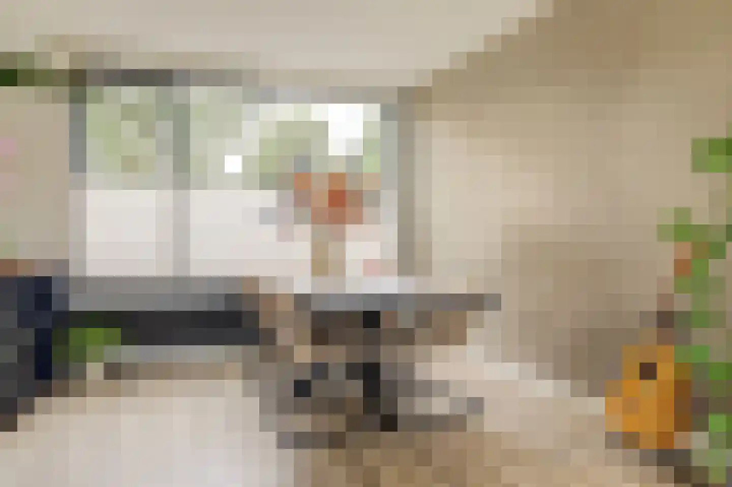 Preesterlânswei 40 Hurdegaryp thumbnail 11