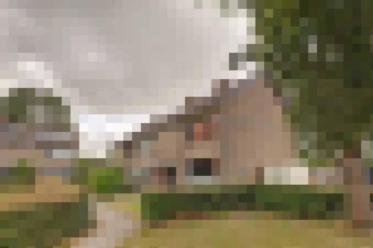 Preesterlânswei 40 Hurdegaryp thumbnail 35
