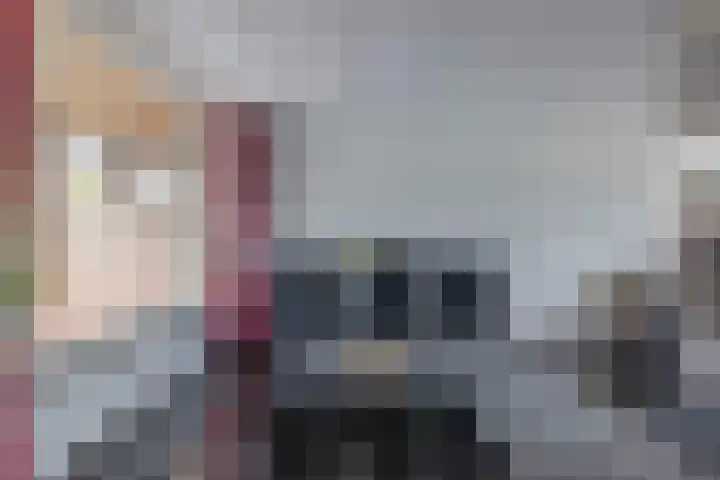 Preesterlânswei 52 Hurdegaryp thumbnail 15