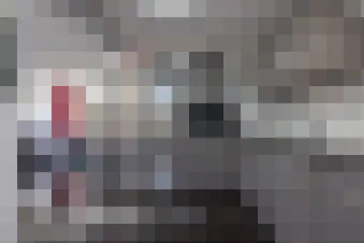 Preesterlânswei 52 Hurdegaryp thumbnail 17