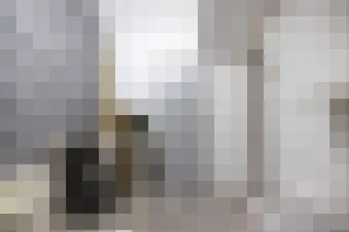 Preesterlânswei 52 Hurdegaryp thumbnail 32