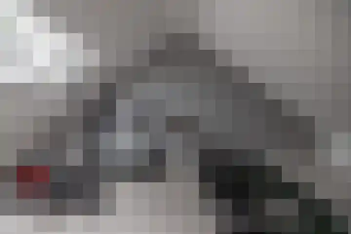 Preesterlânswei 52 Hurdegaryp thumbnail 33