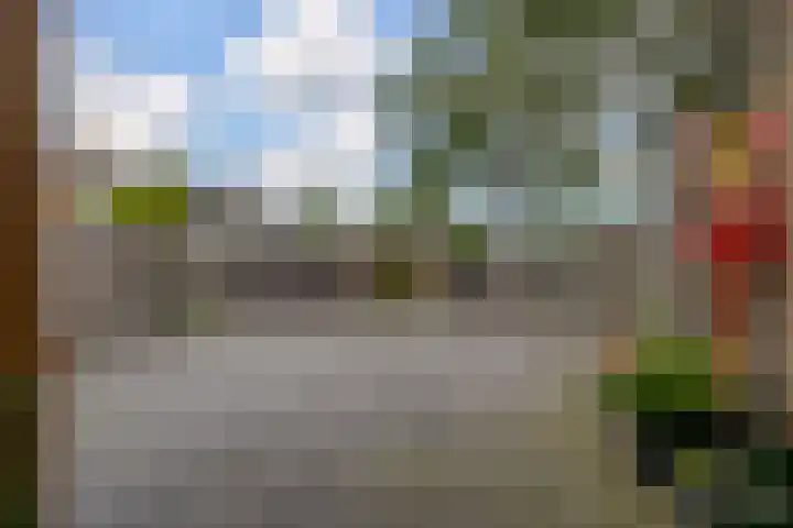 Preesterlânswei 52 Hurdegaryp thumbnail 38
