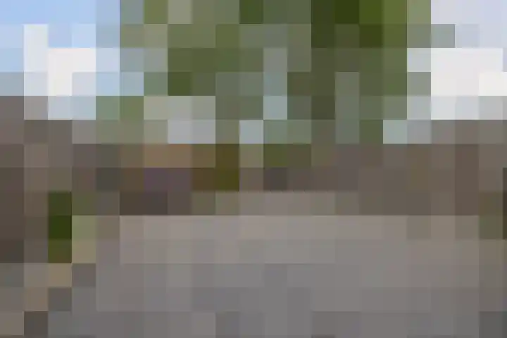 Preesterlânswei 52 Hurdegaryp thumbnail 39