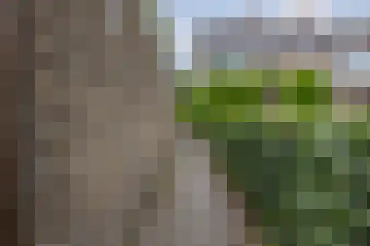 Preesterlânswei 52 Hurdegaryp thumbnail 40