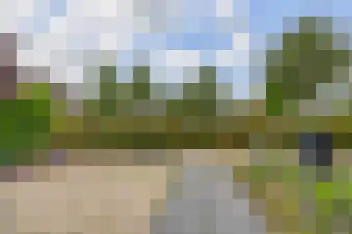 Preesterlânswei 52 Hurdegaryp thumbnail 44