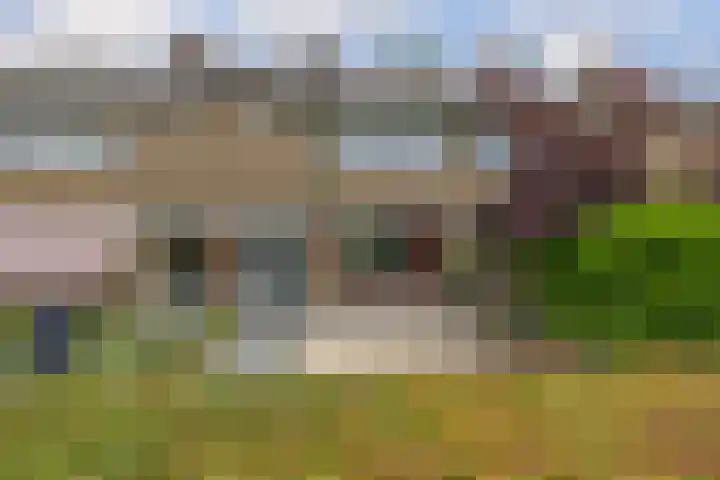 Preesterlânswei 52 Hurdegaryp thumbnail 6