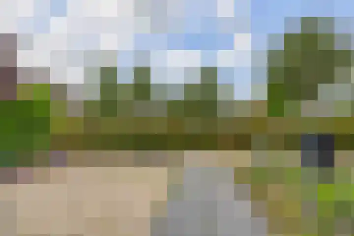 Preesterlânswei 52 Hurdegaryp thumbnail 8