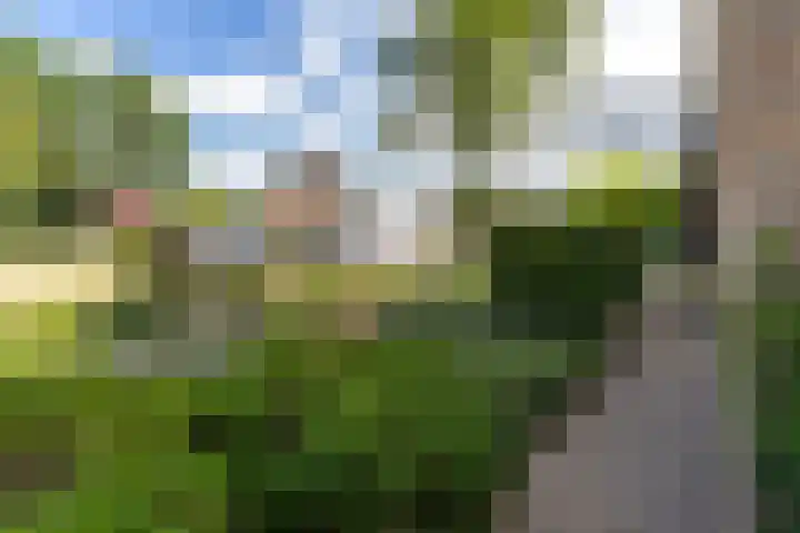 Preesterlânswei 9 Hurdegaryp thumbnail 10