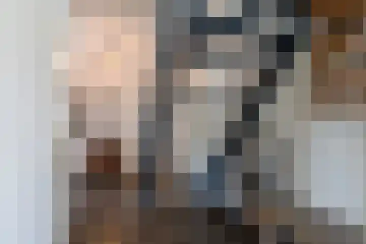 Preesterlânswei 9 Hurdegaryp thumbnail 13