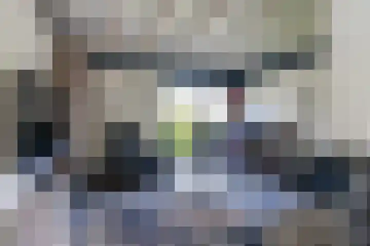 Preesterlânswei 9 Hurdegaryp thumbnail 15