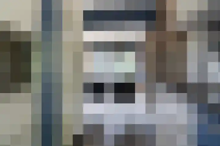 Preesterlânswei 9 Hurdegaryp thumbnail 22