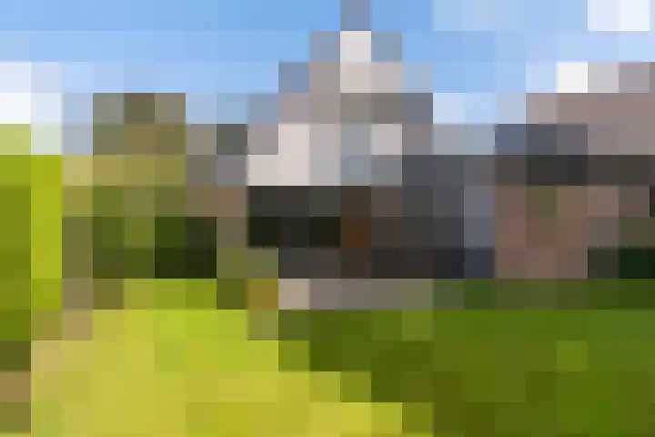 Preesterlânswei 9 Hurdegaryp thumbnail 24