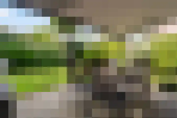 Preesterlânswei 9 Hurdegaryp thumbnail 26