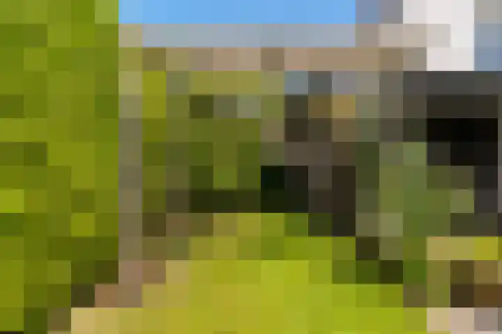 Preesterlânswei 9 Hurdegaryp thumbnail 29