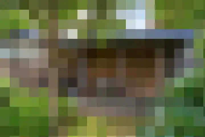 Preesterlânswei 9 Hurdegaryp thumbnail 30