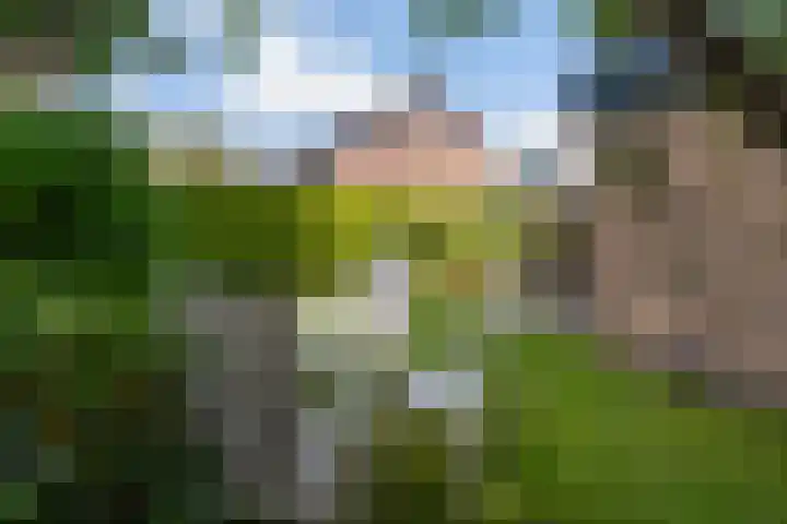 Preesterlânswei 9 Hurdegaryp thumbnail 31