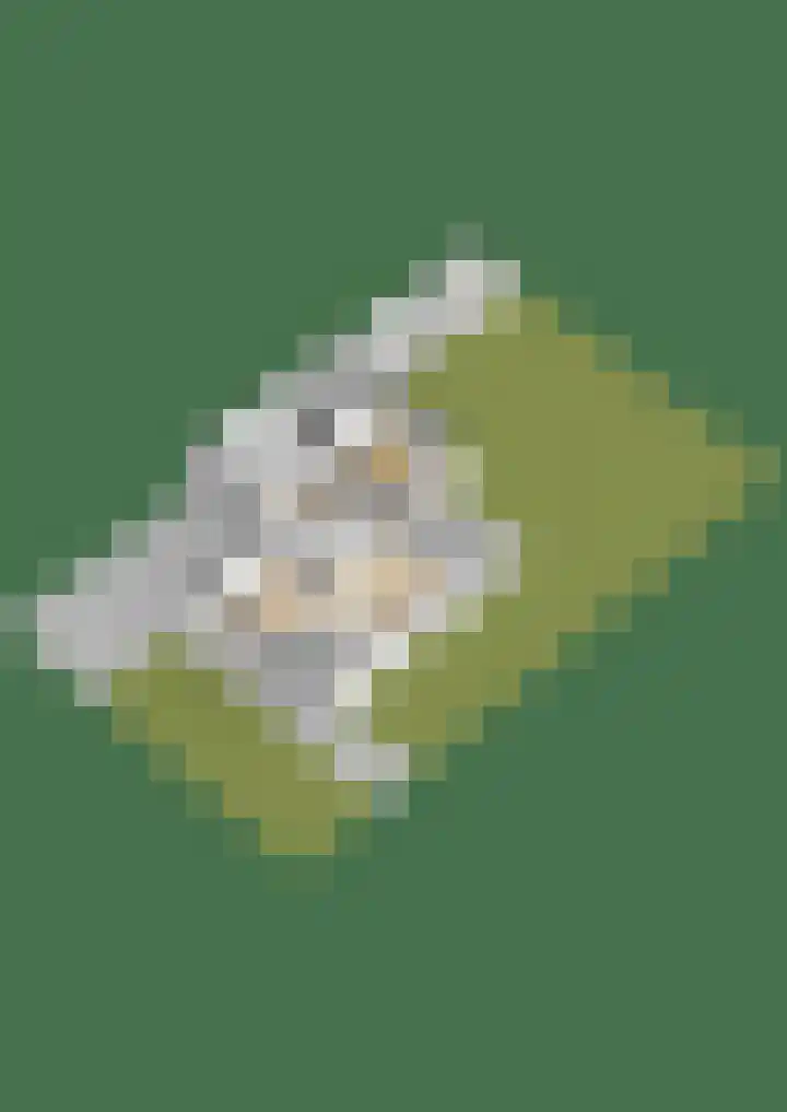 Preesterlânswei 9 Hurdegaryp thumbnail 44