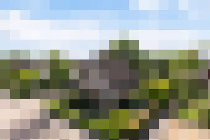 Preesterlânswei 9 Hurdegaryp thumbnail 7