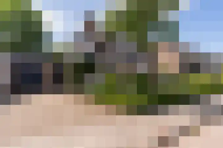 Preesterlânswei 9 Hurdegaryp thumbnail 8