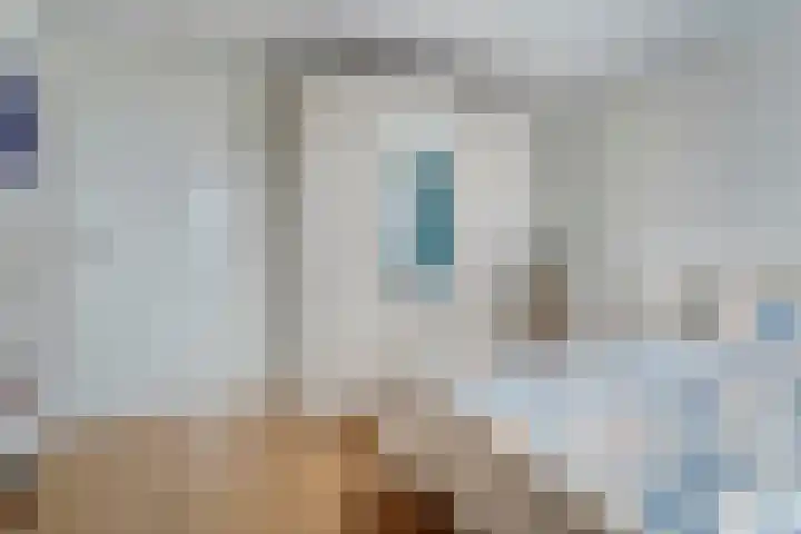 Preistingestraat 35 Steenwijk thumbnail 13