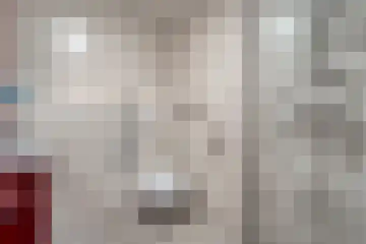 Preistingestraat 35 Steenwijk thumbnail 20
