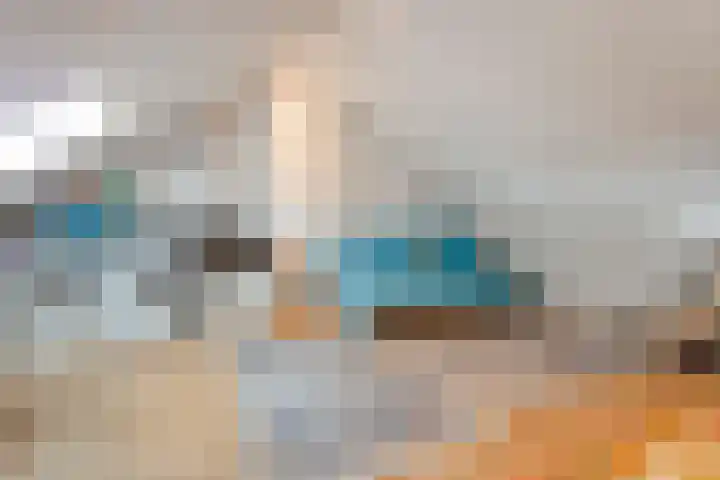 Preistingestraat 35 Steenwijk thumbnail 22