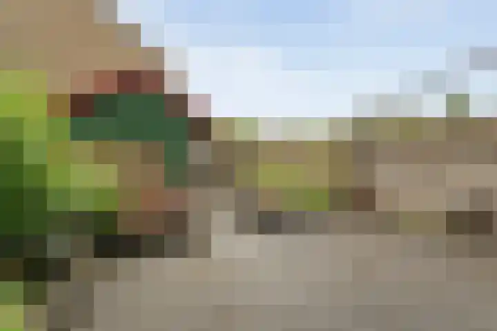 Preistingestraat 35 Steenwijk thumbnail 24