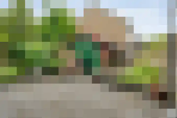 Preistingestraat 35 Steenwijk thumbnail 25