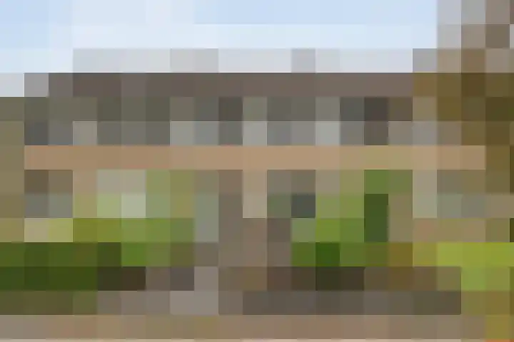 Preistingestraat 35 Steenwijk thumbnail 26