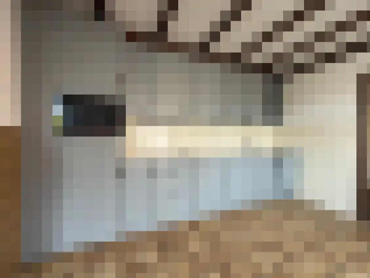 Prelaat Brantenstraat 6 Mierlo thumbnail 4