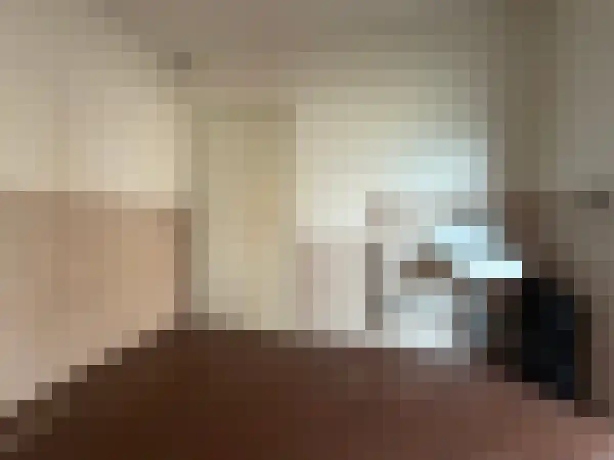 Prelaat Brantenstraat 6 Mierlo thumbnail 5