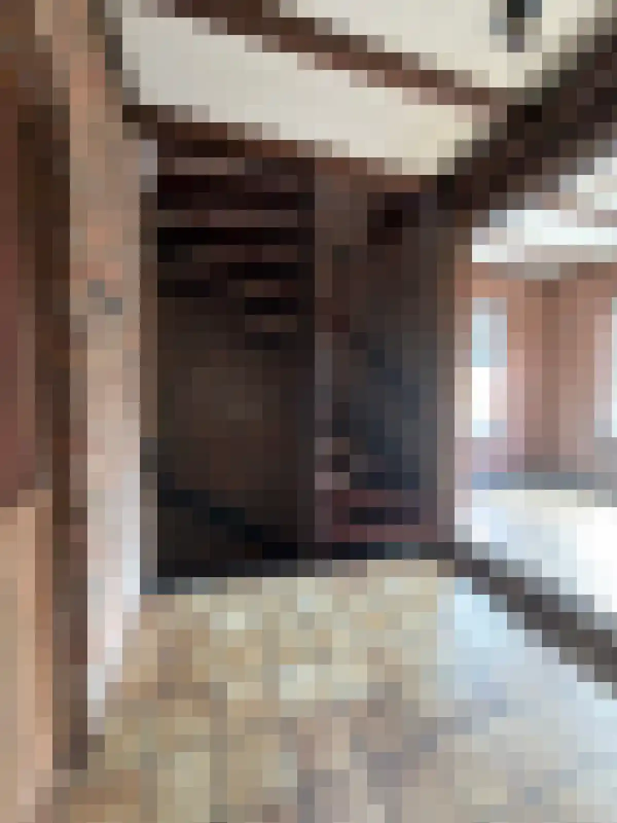 Prelaat Brantenstraat 6 Mierlo thumbnail 6