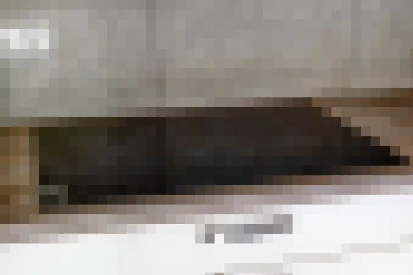 Prelaat van Dinterstraat 53 Gemert thumbnail 10