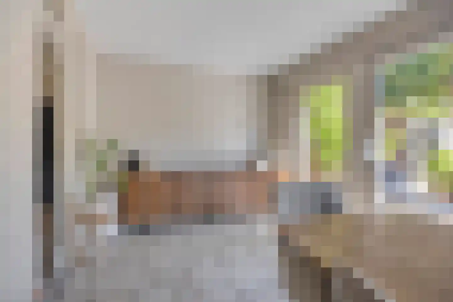 Prelaat van Dinterstraat 53 Gemert thumbnail 11
