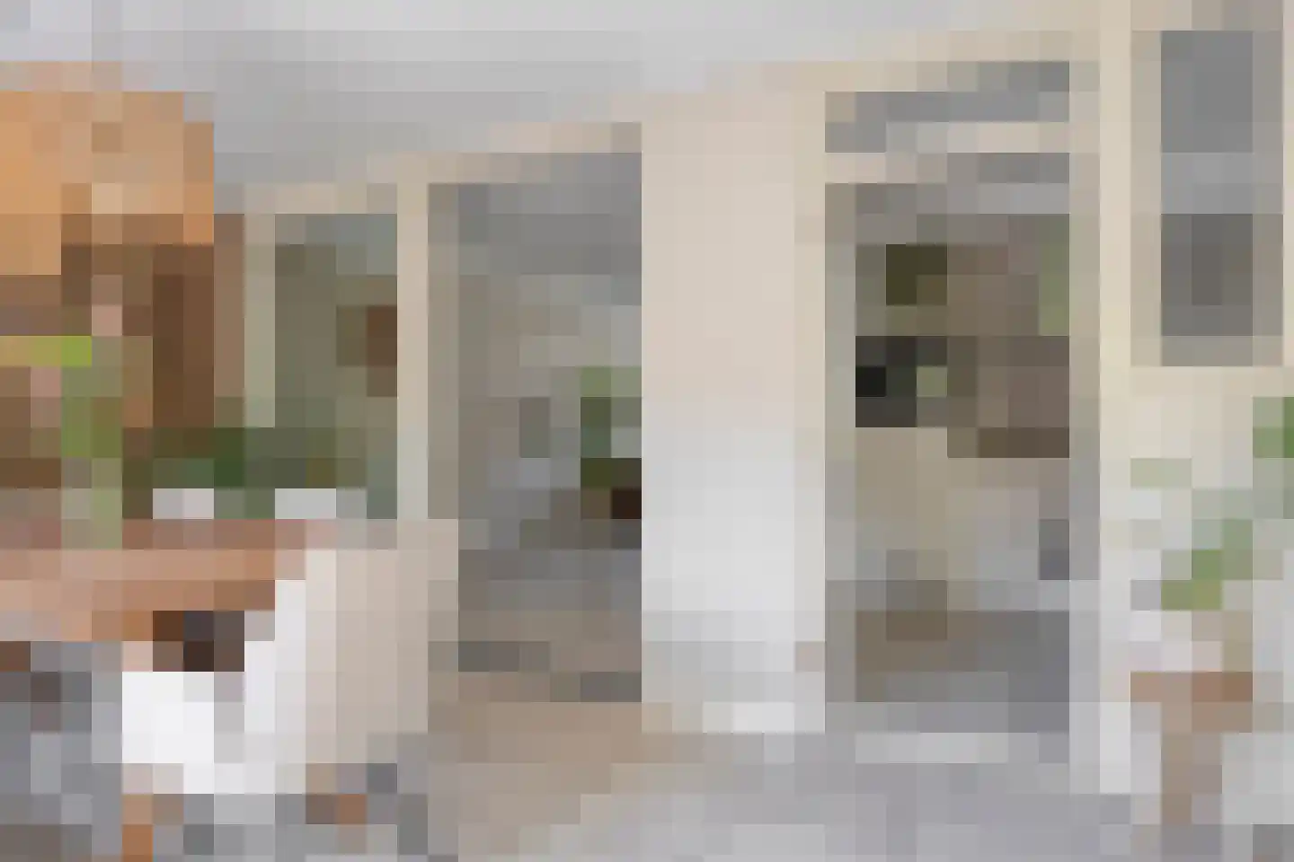 Prelaat van Dinterstraat 53 Gemert thumbnail 12