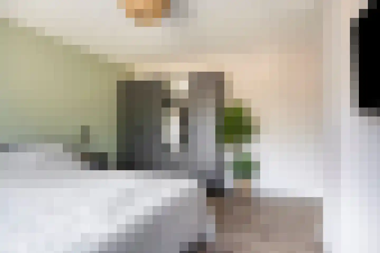 Prelaat van Dinterstraat 53 Gemert thumbnail 18