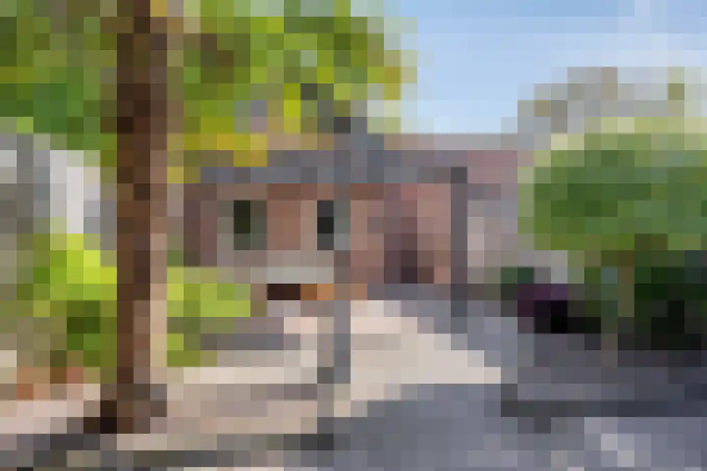 Prelaat van Dinterstraat 53 Gemert thumbnail 26