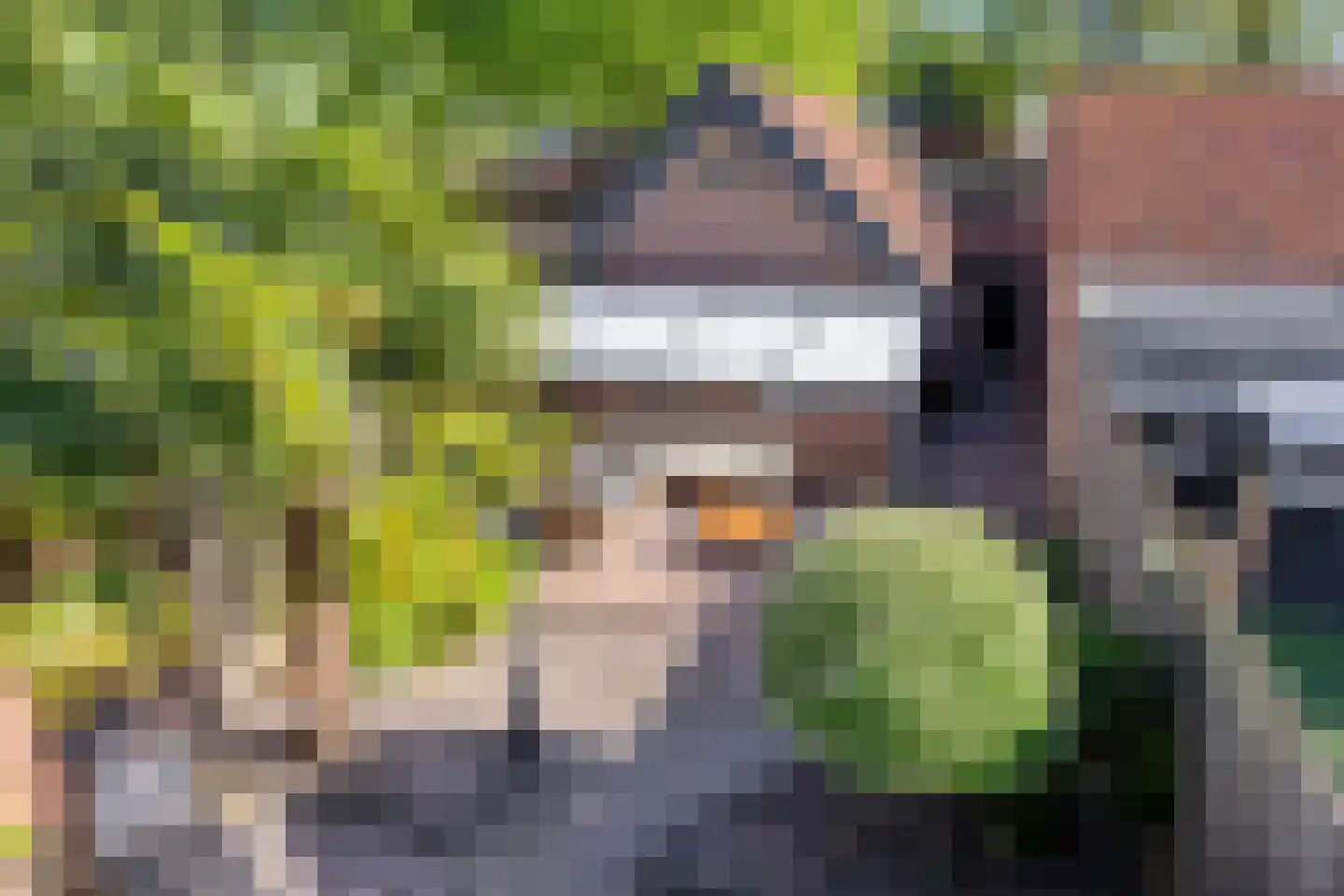Prelaat van Dinterstraat 53 Gemert thumbnail 27