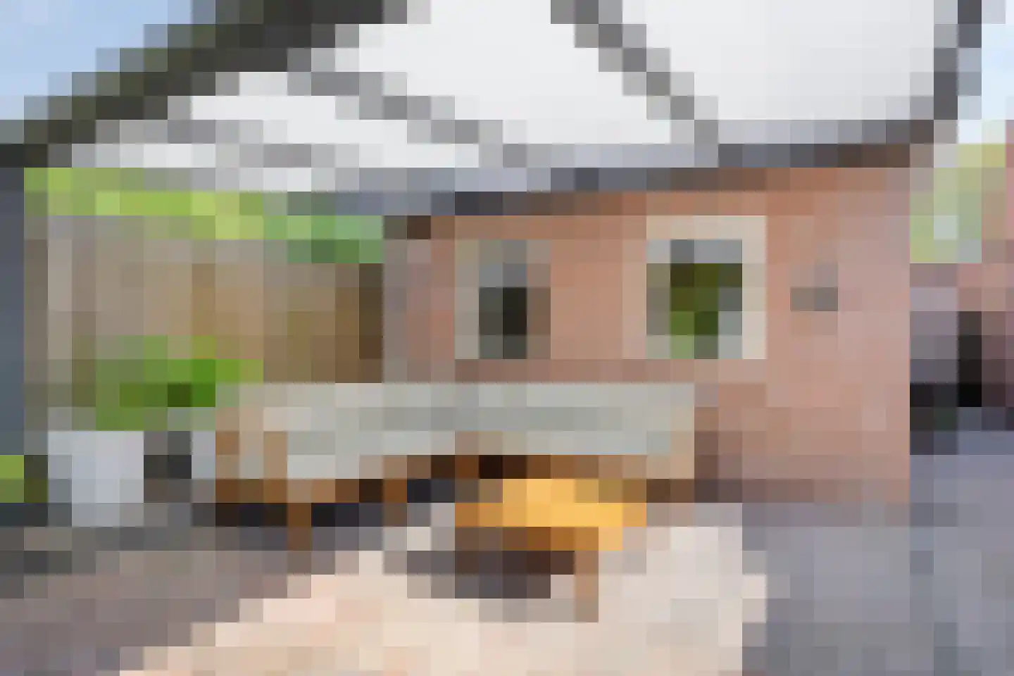 Prelaat van Dinterstraat 53 Gemert thumbnail 28
