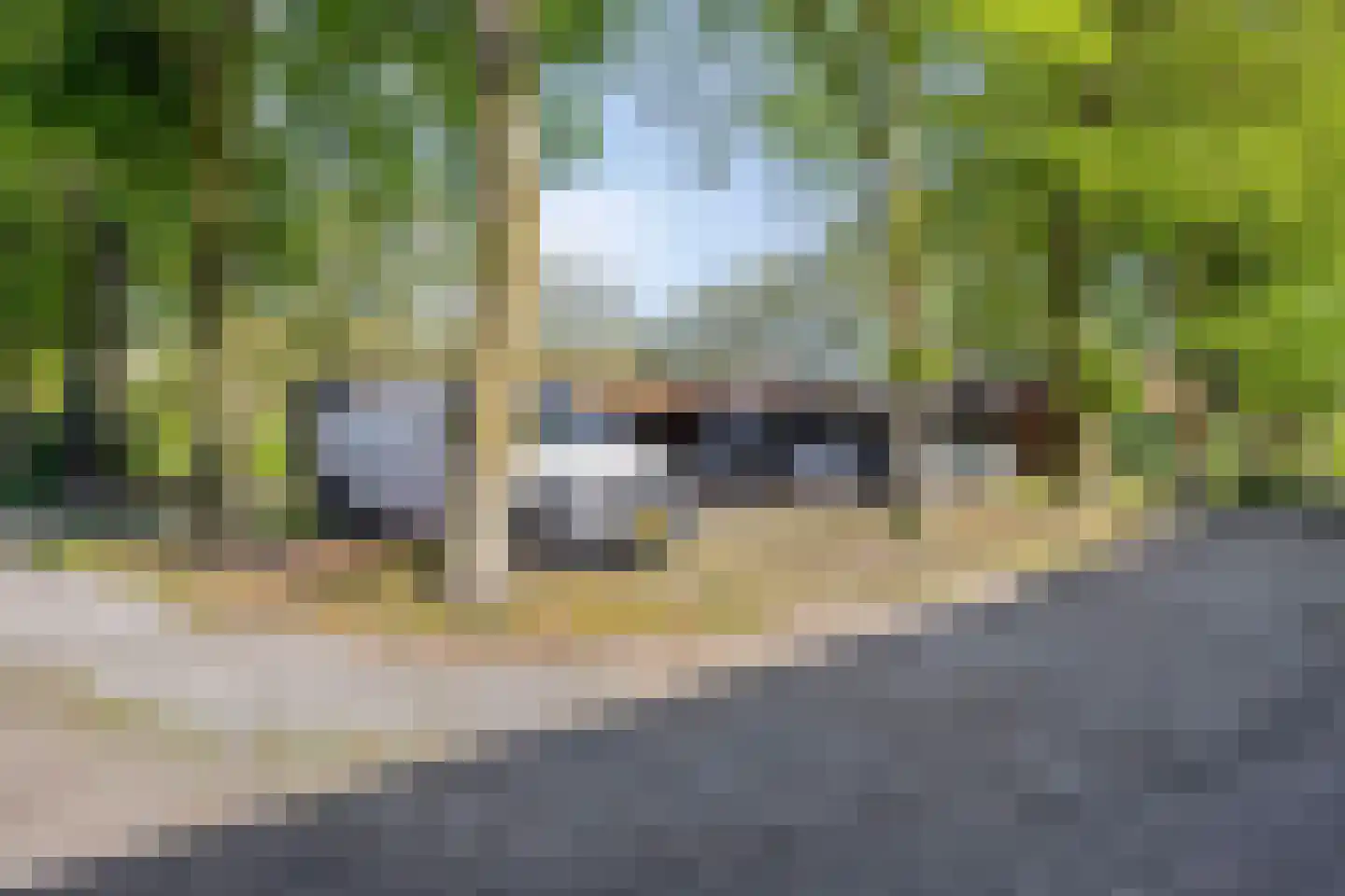 Prelaat van Dinterstraat 53 Gemert thumbnail 39