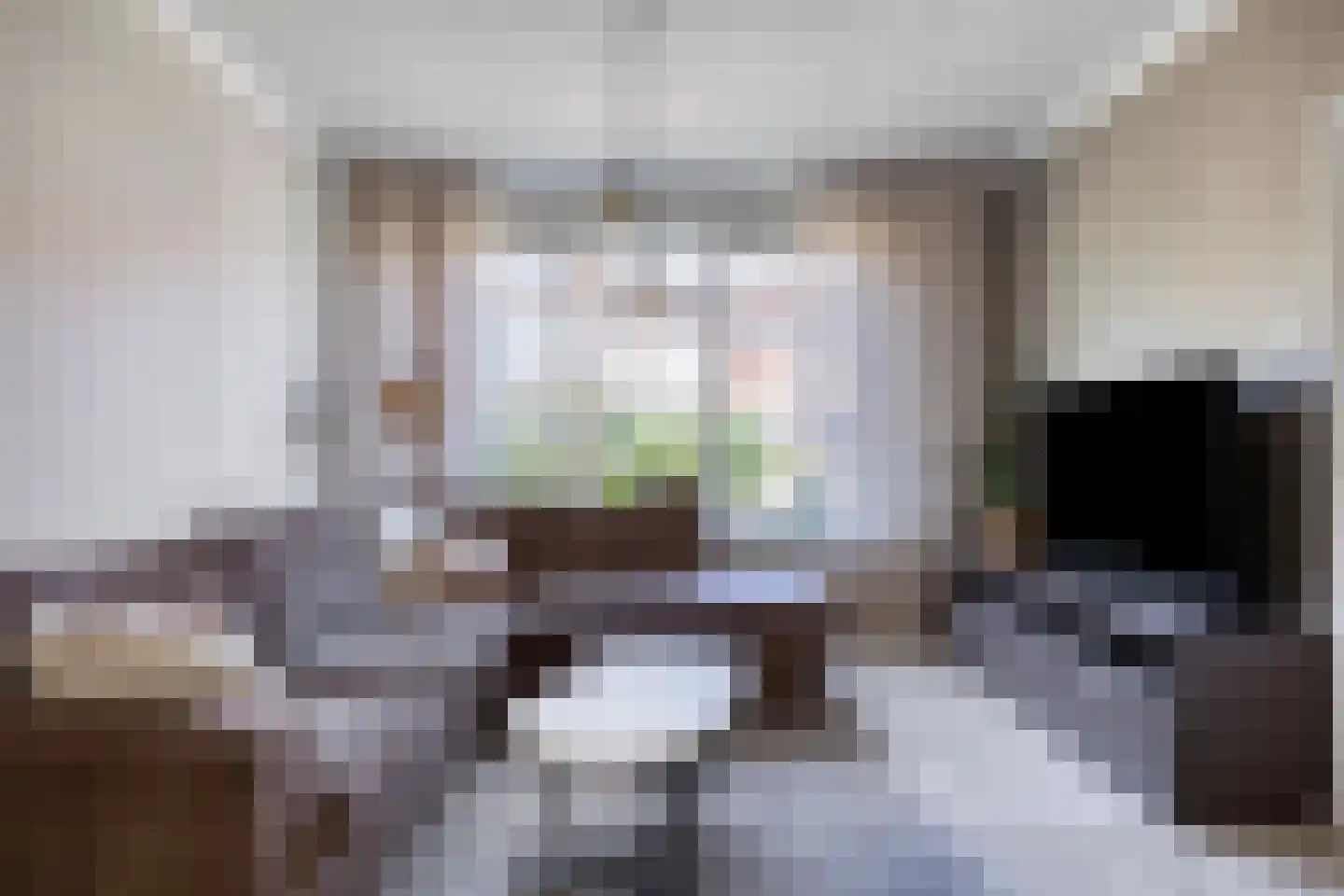 Prelaat van Dinterstraat 53 Gemert thumbnail 4